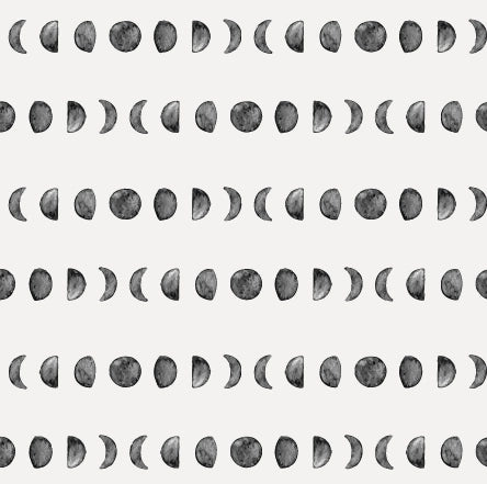Fase da lua