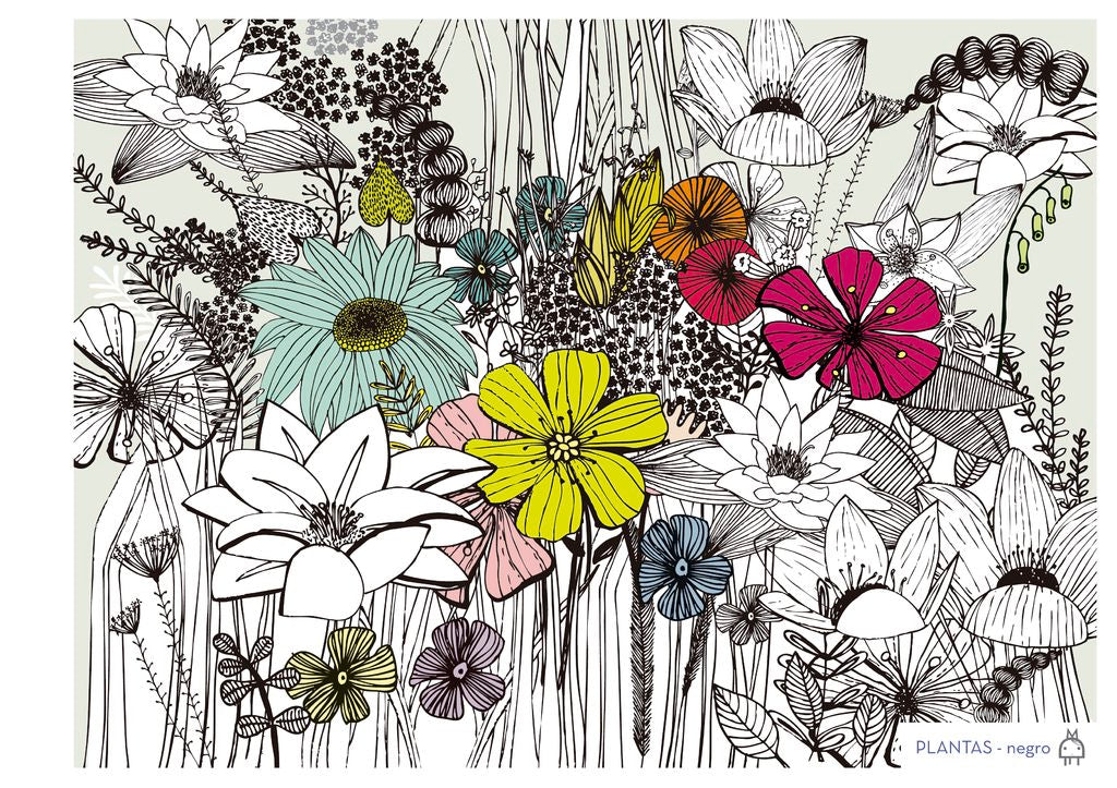 Plantas