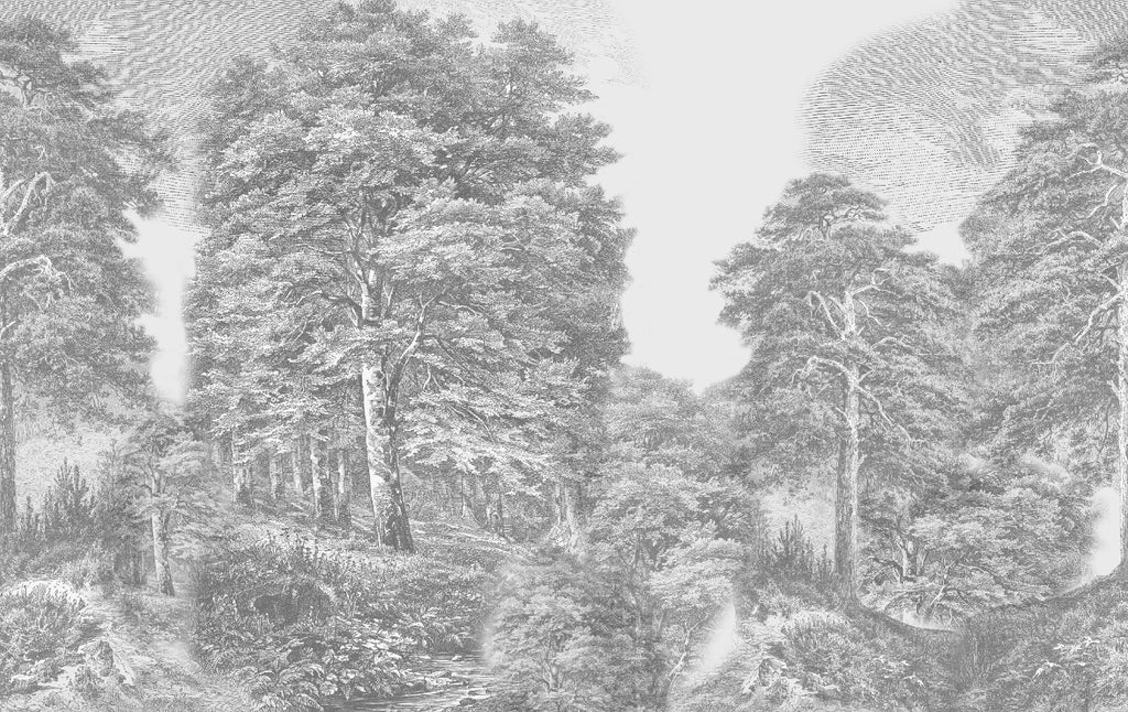 floresta gravada