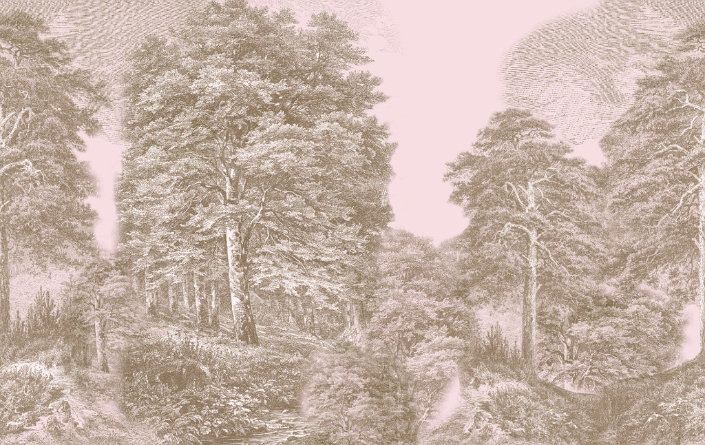 floresta gravada