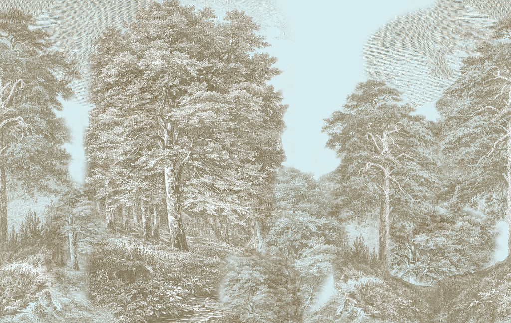 floresta gravada